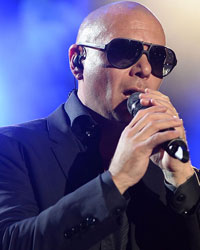 Pitbull